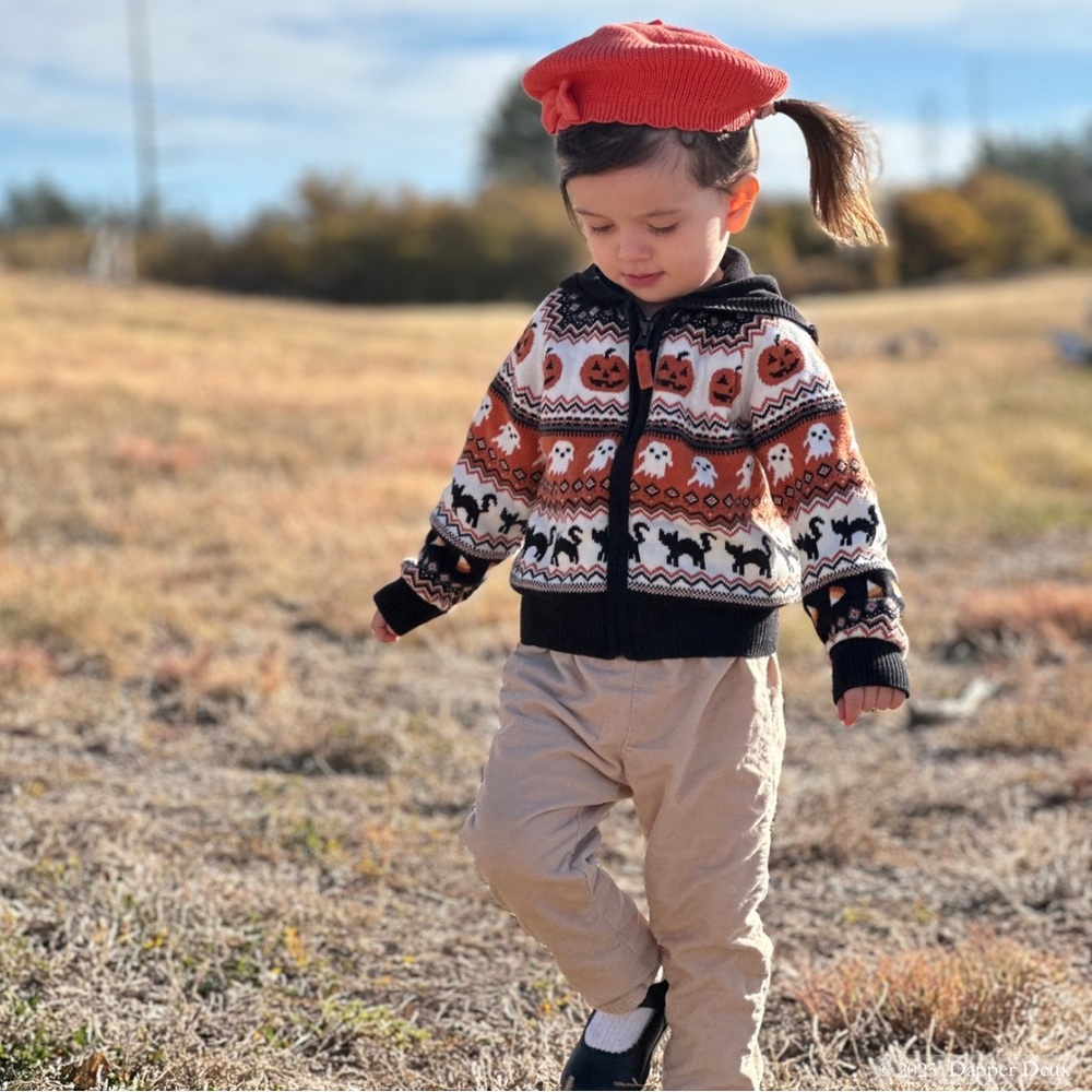 Gymboree | Intarsia Halloween Fairisle Cardigan